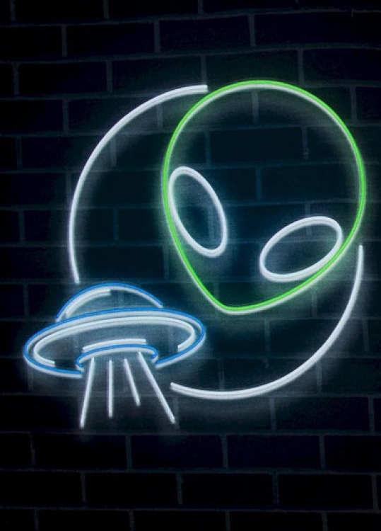 Panel - Sommersweat - Glow - Alien